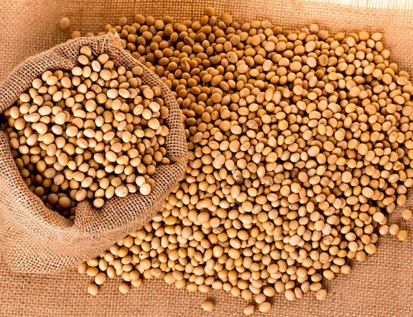 Exportação menor de soja em janeiro pesa e superávit do agro cai 3,4%
